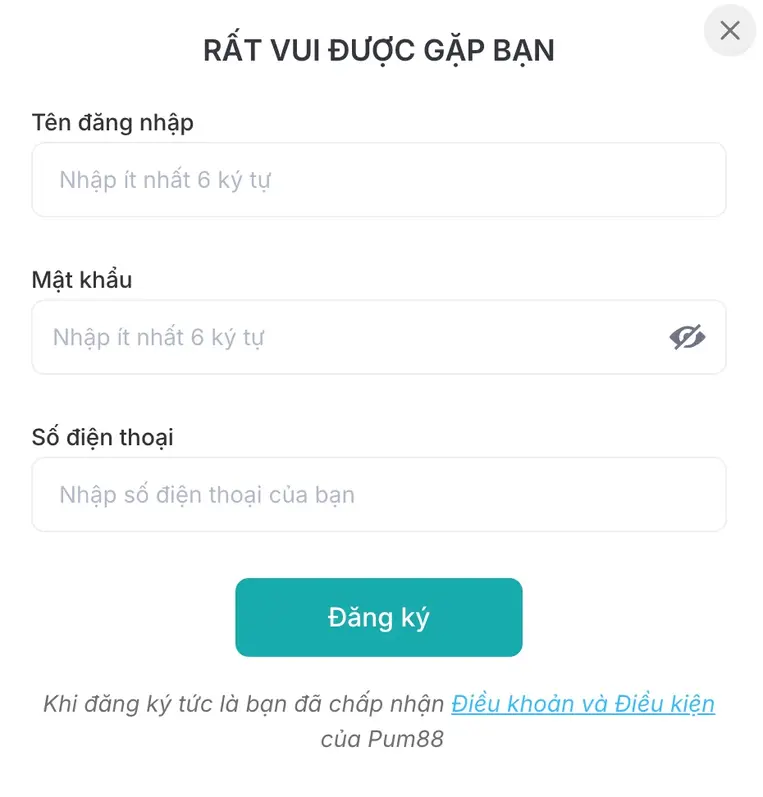 PUM88 VN